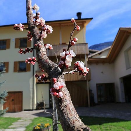 Ferienhof Weingenuss Apartman Cortina Sulla Strada del Vino Kültér fotó