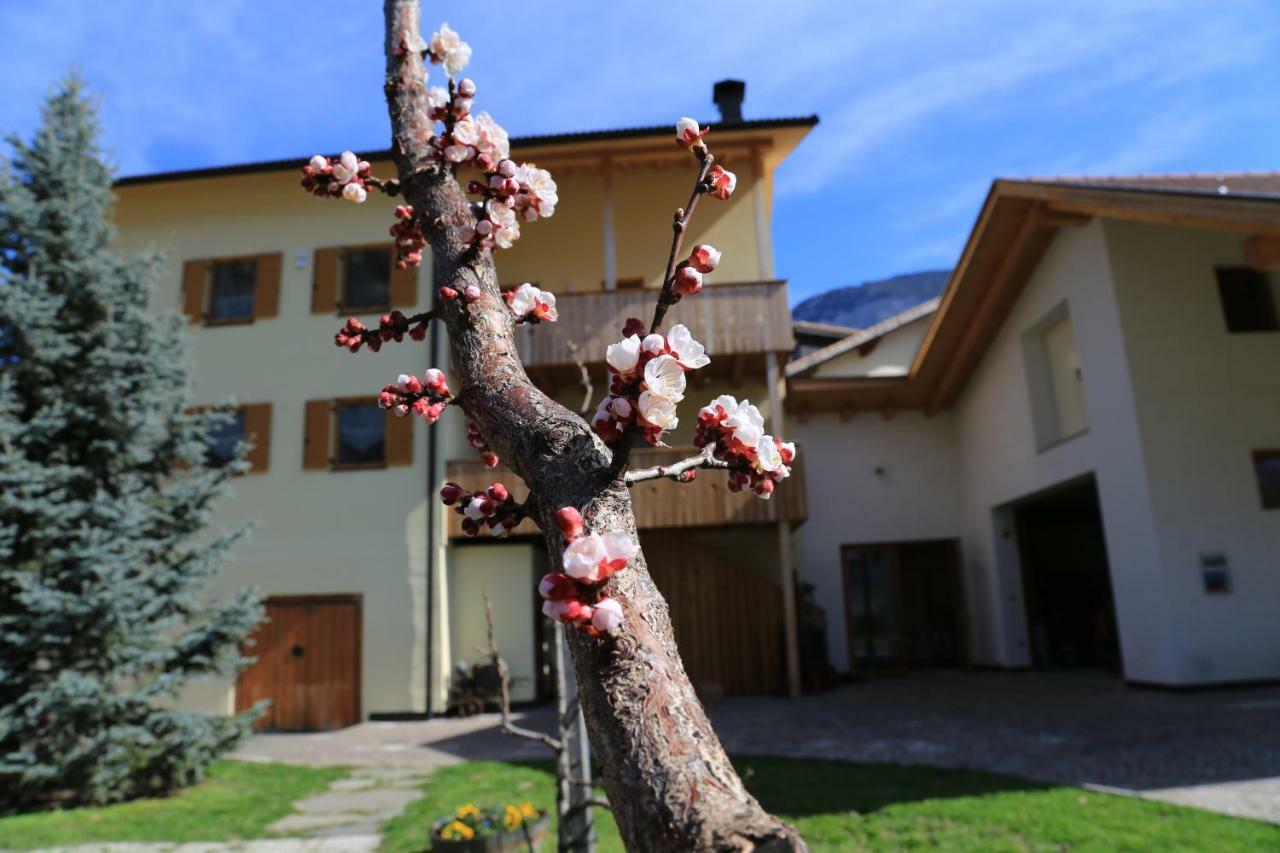 Ferienhof Weingenuss Apartman Cortina Sulla Strada del Vino Kültér fotó